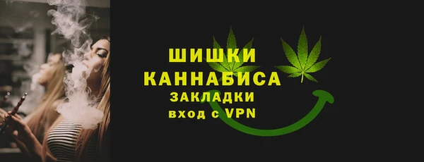 мдпв Осинники