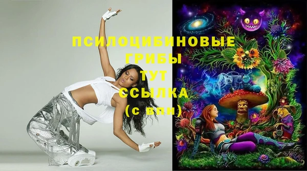 мдпв Осинники