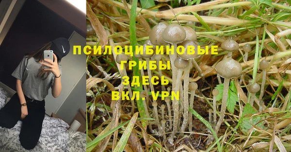 гашик Бутурлиновка