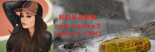мдпв Осинники